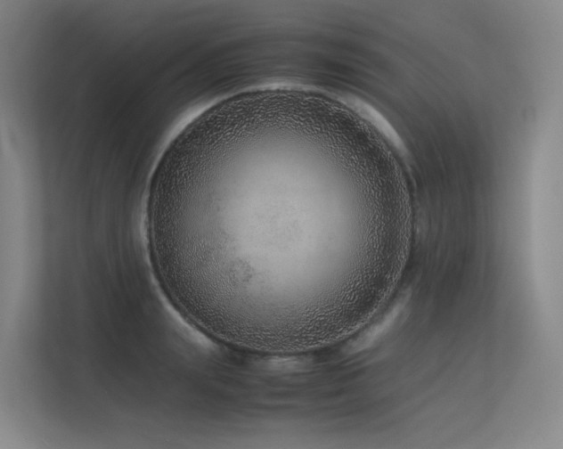 X0000113240847200909101407