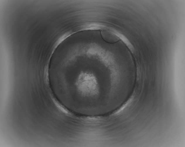 X0000113240850200909101407