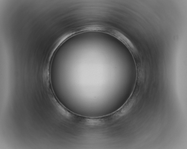 X0000113240852200909101407