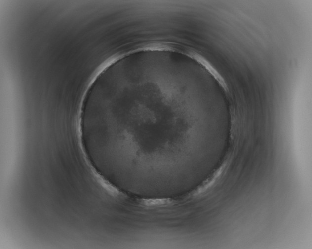 X0000113240853200909101407