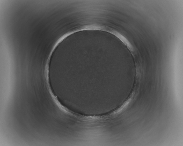 X0000113240854200909101407