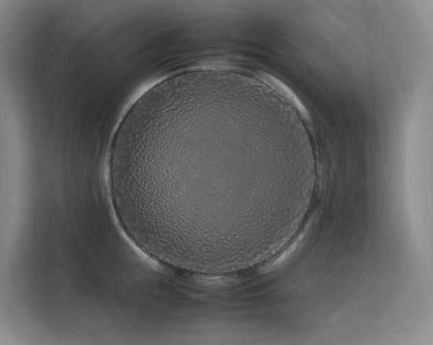 X0000113240855200909101407