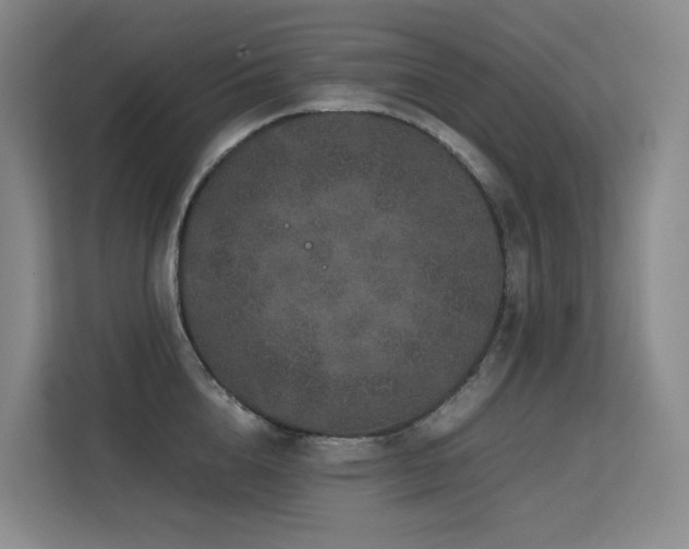 X0000113240856200909101407