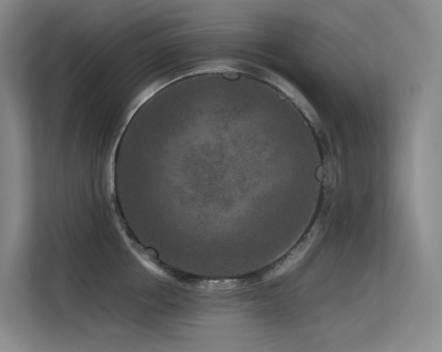 X0000113240858200909101407