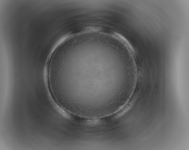 X0000113240859200909101407