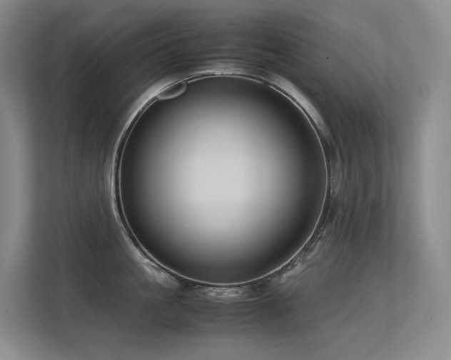 X0000113240861200909101407