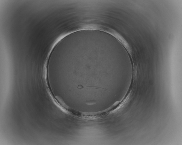 X0000113240862200909101407