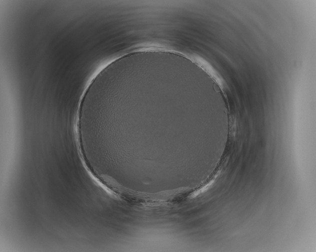 X0000113240863200909101407