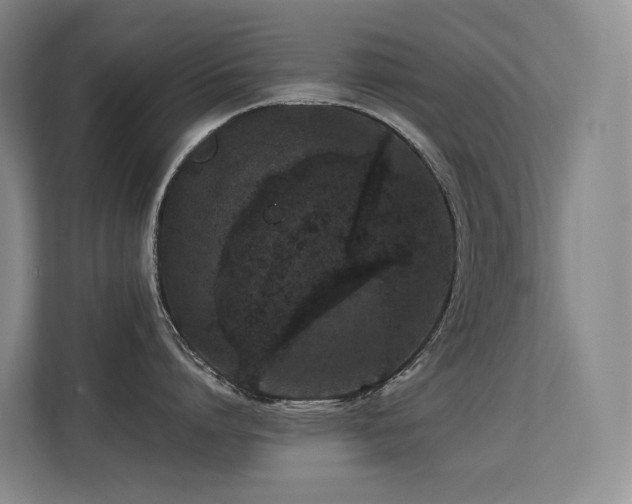 X0000113240864200909101407