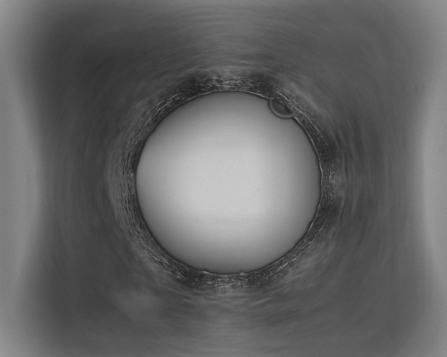 X0000113240865200909101406