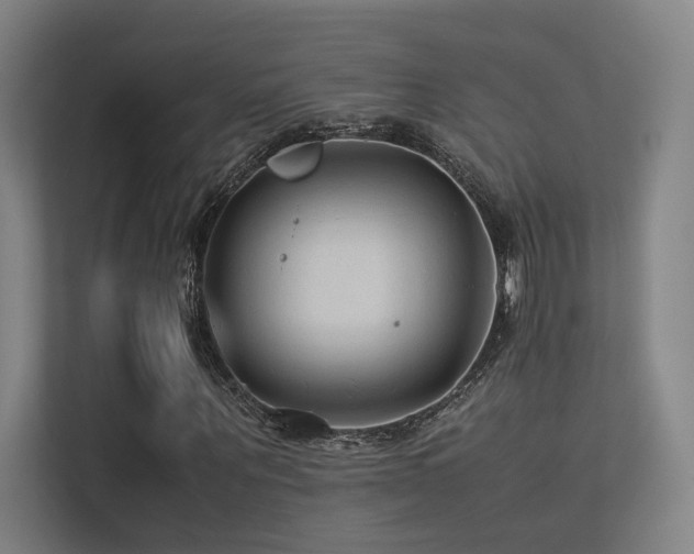 X0000113240867200909101406