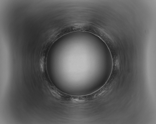 X0000113240868200909101406