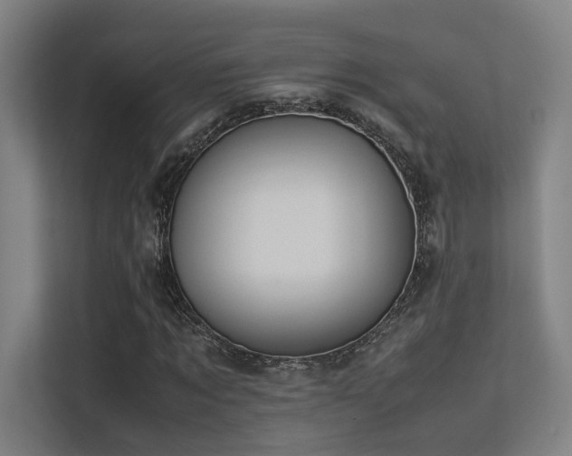 X0000113240869200909101406