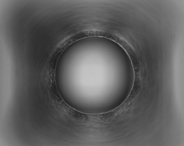 X0000113240870200909101406