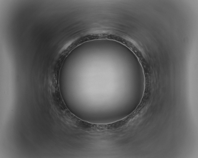 X0000113240871200909101406