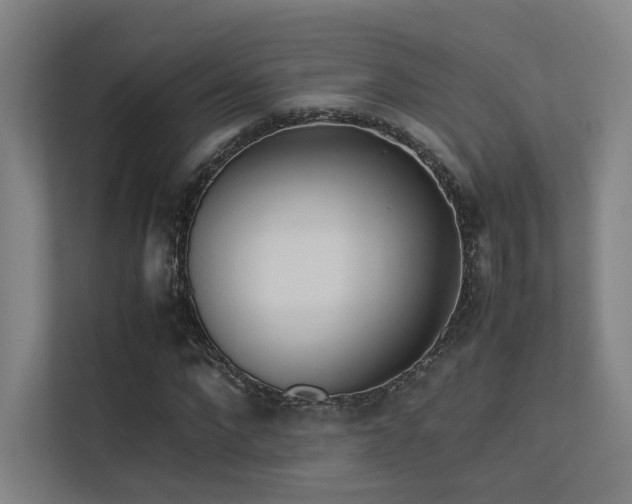 X0000113240872200909101406