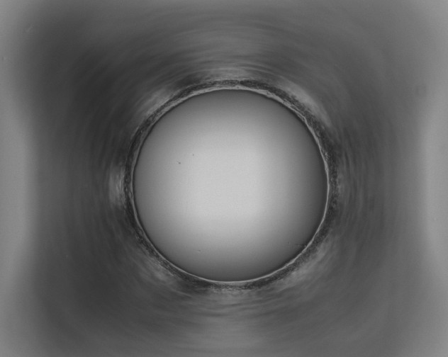 X0000113240873200909101406