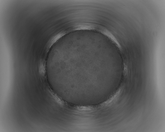 X0000113240874200909101406