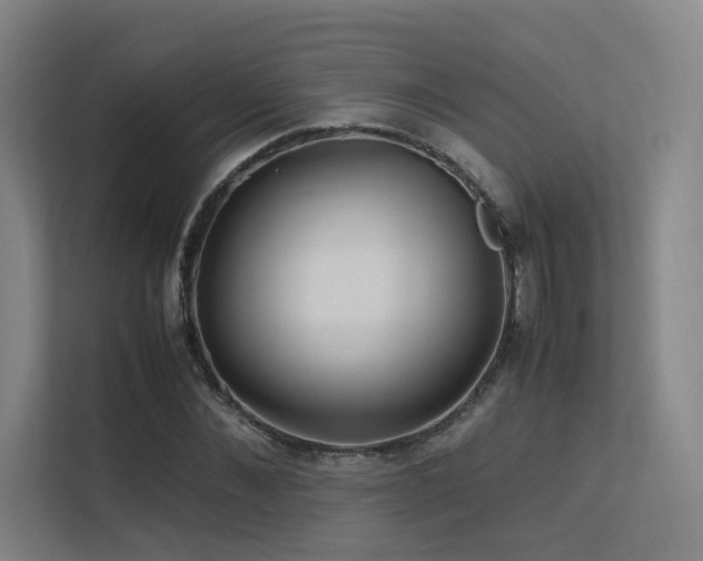 X0000113240876200909101406