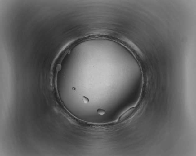 X0000113240878200909101406