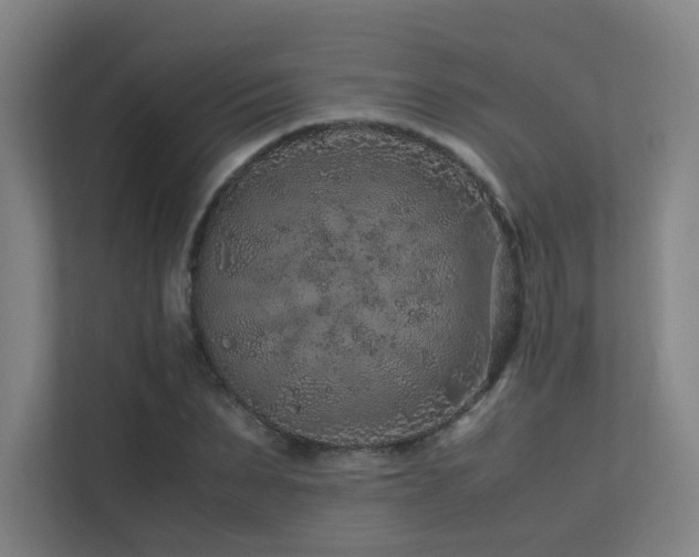 X0000113240879200909101406