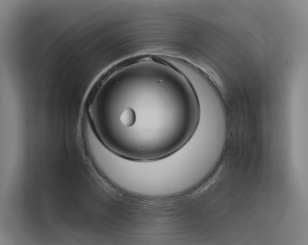 X0000113240880200909101406