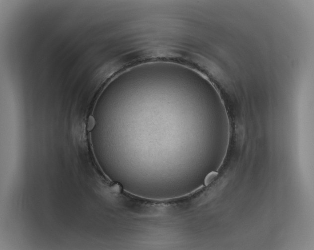 X0000113240881200909101406