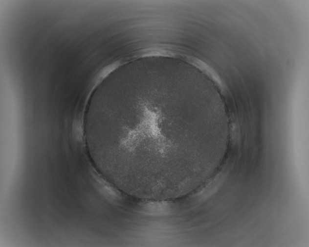 X0000113240882200909101406