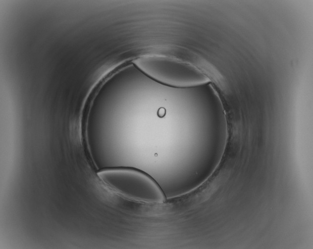 X0000113240884200909101406