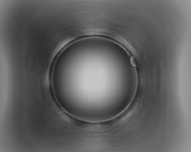 X0000113240885200909101406