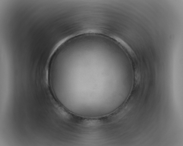 X0000113240886200909101406