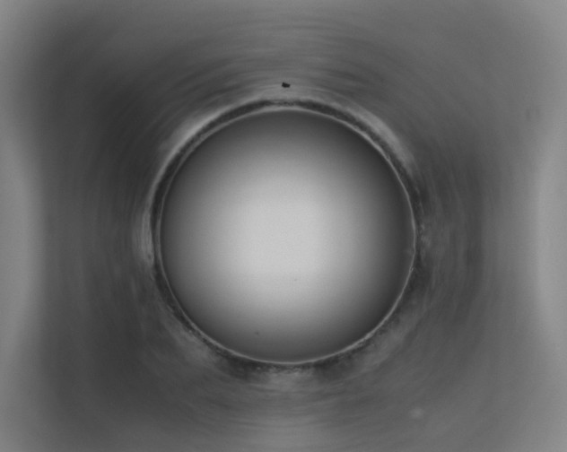 X0000113240887200909101406