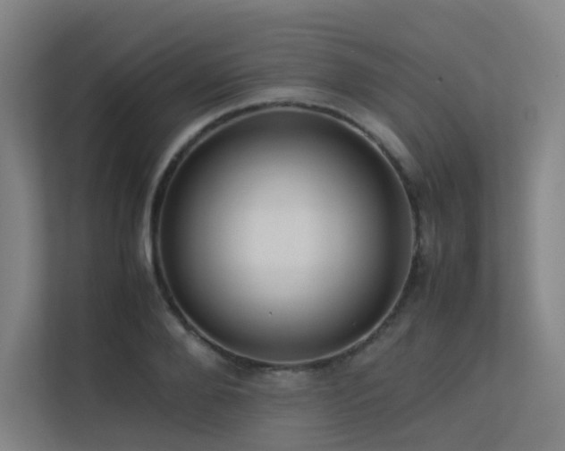 X0000113240888200909101406