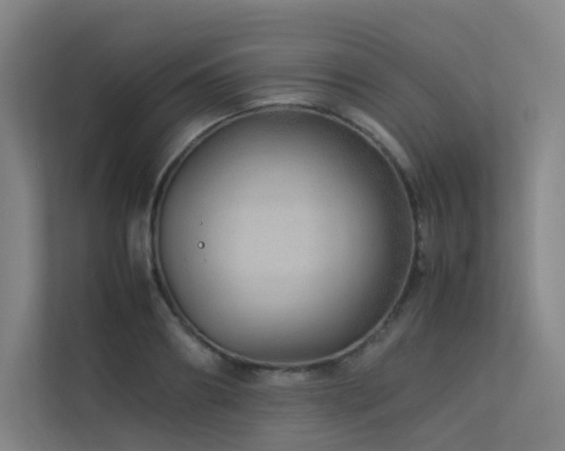 X0000113240890200909101406