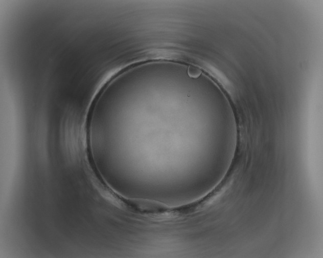 X0000113240891200909101406