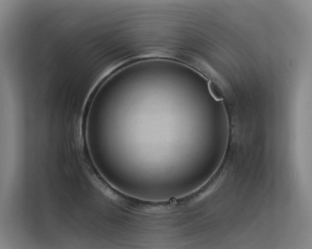 X0000113240892200909101406