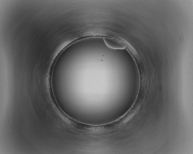 X0000113240893200909101406