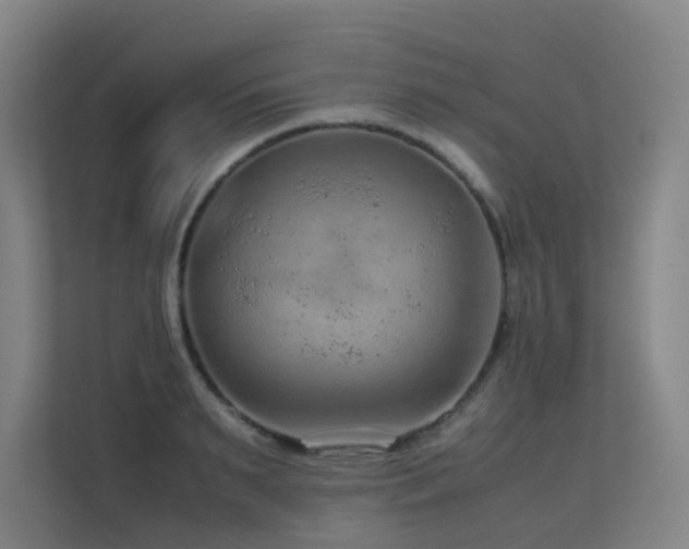 X0000113240895200909101406