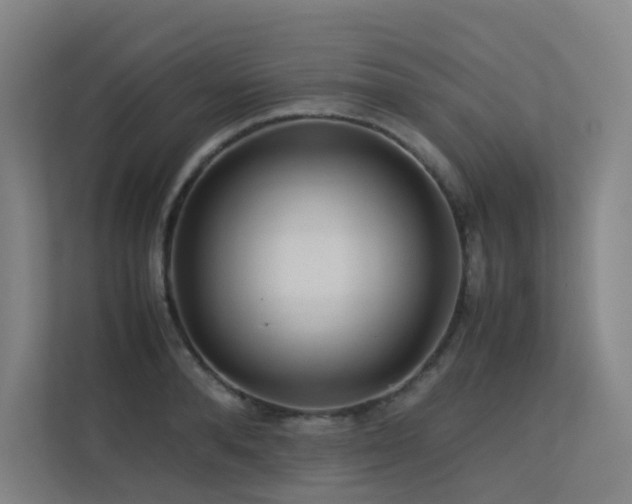 X0000113240896200909101406