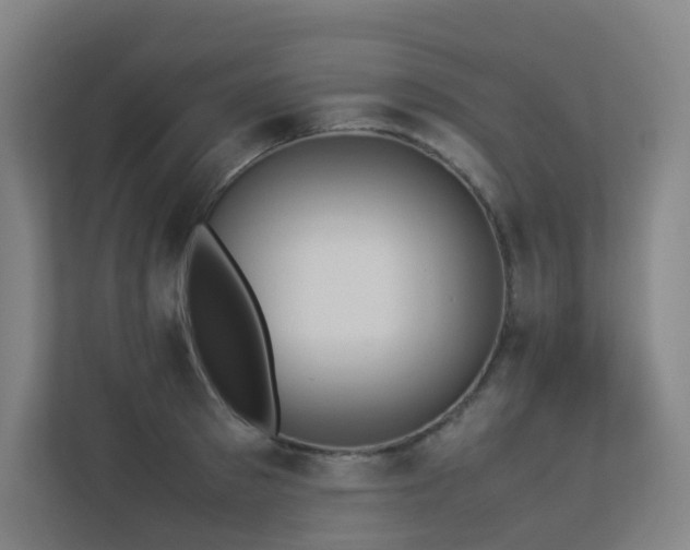 X0000113240897200909101406