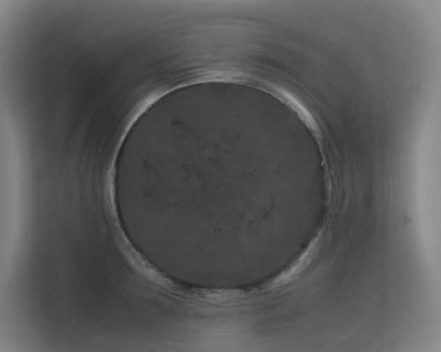 X0000113240899200909101406