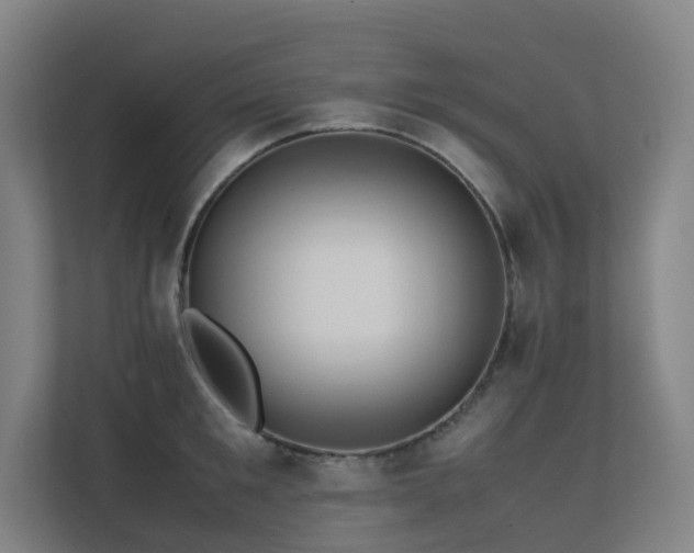 X0000113240901200909101406