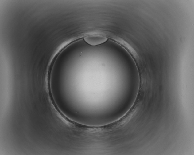 X0000113240902200909101406