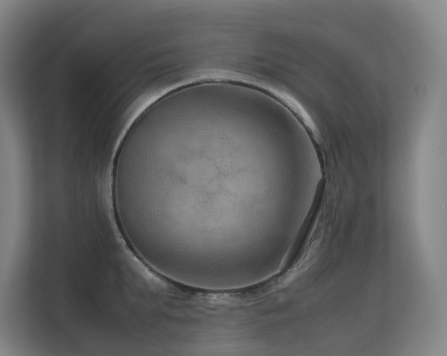 X0000113240903200909101406