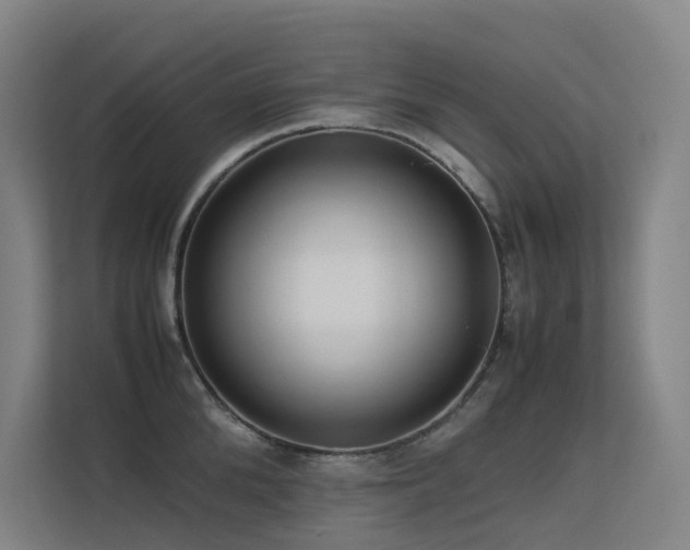 X0000113240904200909101406