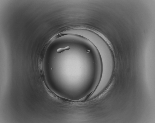 X0000113240905200909101406