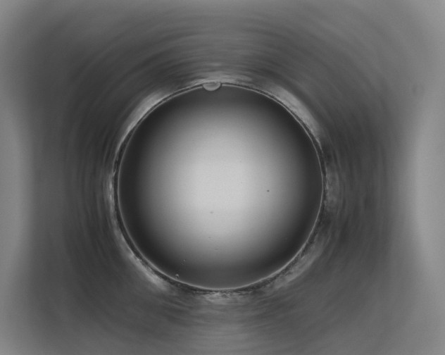 X0000113240906200909101406