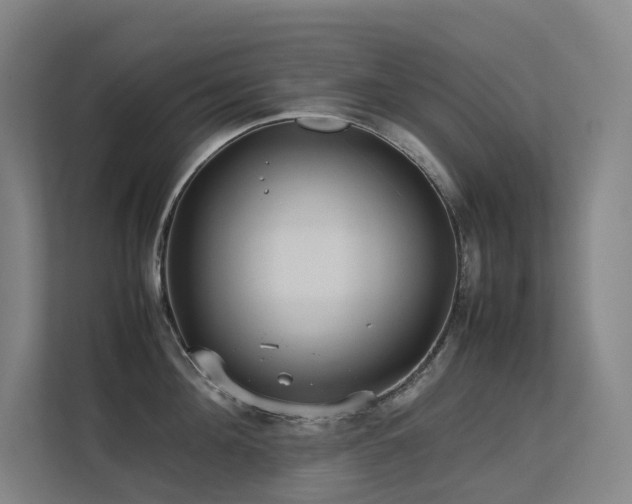 X0000113240908200909101406