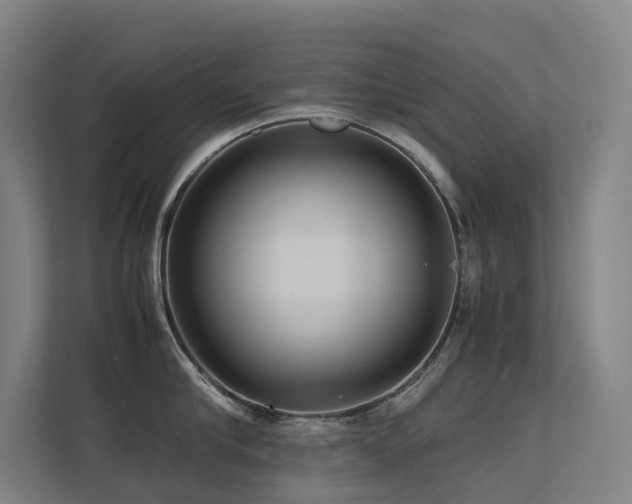 X0000113240910200909101406