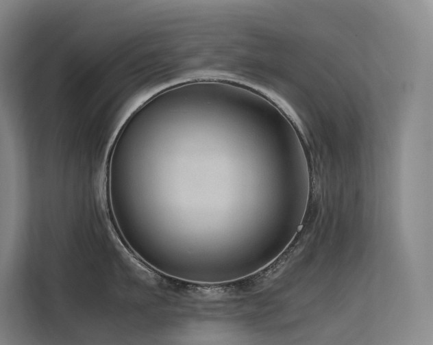 X0000113240911200909101406